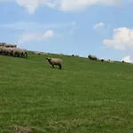 Kiebitzweg 4a Lägenhet